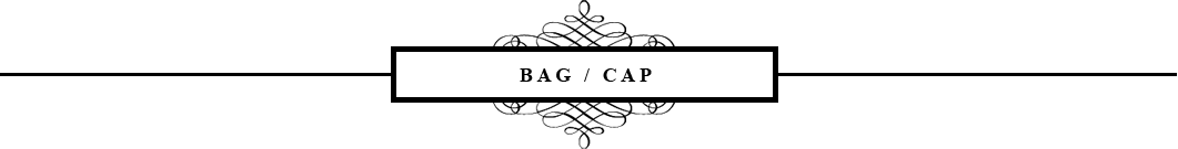 bag